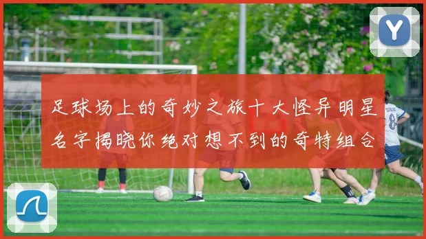 足球场上的奇妙之旅十大怪异明星名字揭晓你绝对想不到的奇特组合