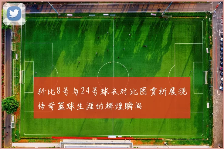 科比8号与24号球衣对比图赏析展现传奇篮球生涯的辉煌瞬间
