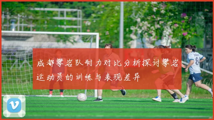 成都攀岩队耐力对比分析探讨攀岩运动员的训练与表现差异