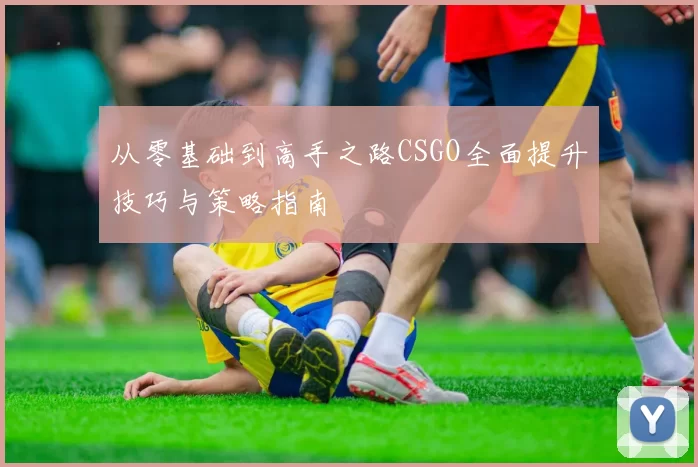 从零基础到高手之路CSGO全面提升技巧与策略指南