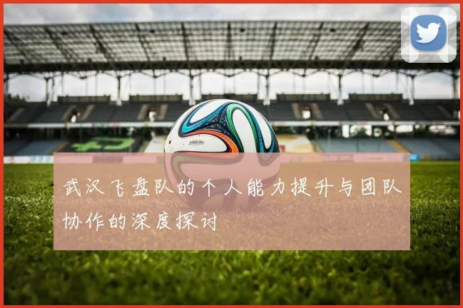 武汉飞盘队的个人能力提升与团队协作的深度探讨