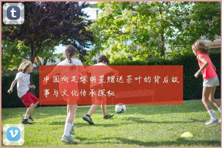 中国向足球明星赠送茶叶的背后故事与文化传承探秘