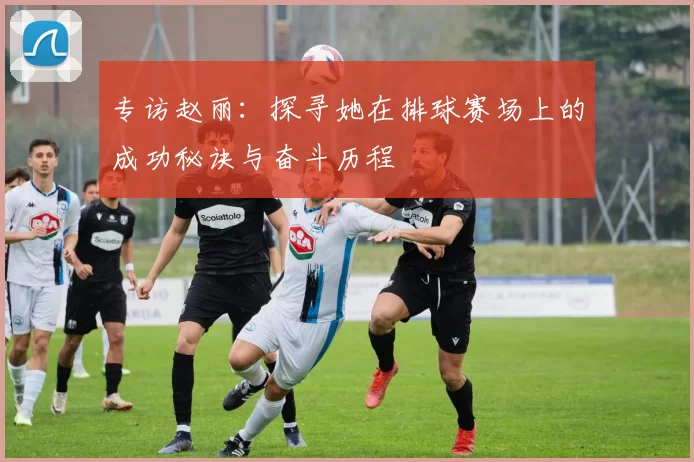 专访赵丽：探寻她在排球赛场上的成功秘诀与奋斗历程