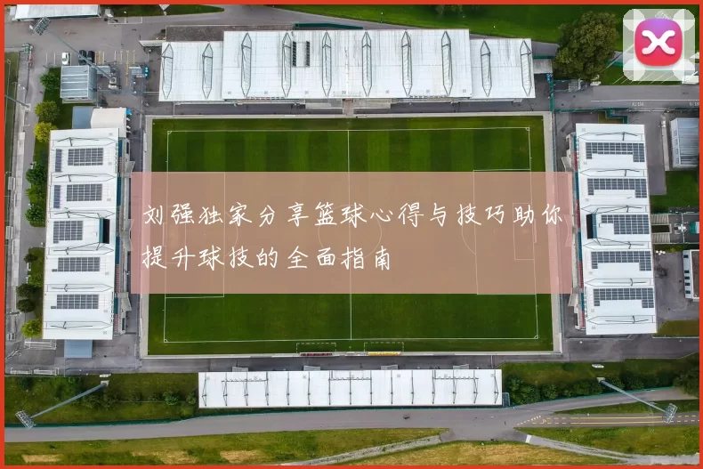 刘强独家分享篮球心得与技巧助你提升球技的全面指南