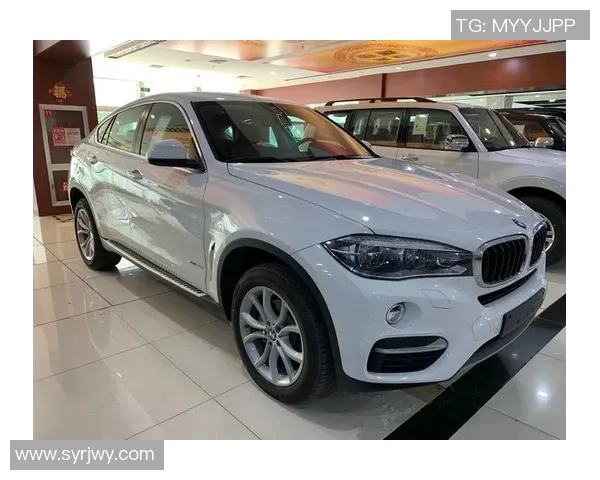 深度对话王军篮球人生的起伏与梦想追逐之路